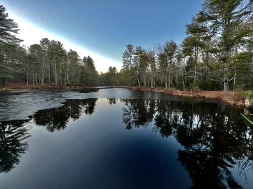 A serene pond surrounded by trees, reflecting the clear blue sky and autumn foliage.