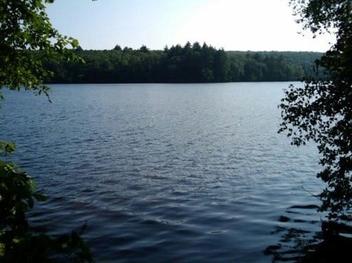 A serene lake surrounded by trees under a clear blue sky, with gentle ripples on the water's surface.