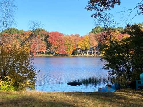 A serene lake surrounded by vibrant autumn trees under a clear blue sky.
