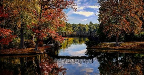 A serene park scene with vibrant autumn trees reflecting in calm water, featuring a bridge in the background.
