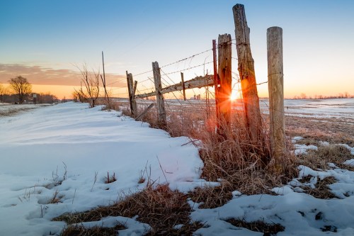 A wooden fence with barbed wire at sunset, surrounded by snow and grass in a serene winter landscape.