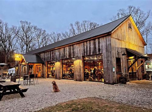 A rustic wooden building with warm lights, surrounded by trees, and a dog sitting on gravel in the foreground.