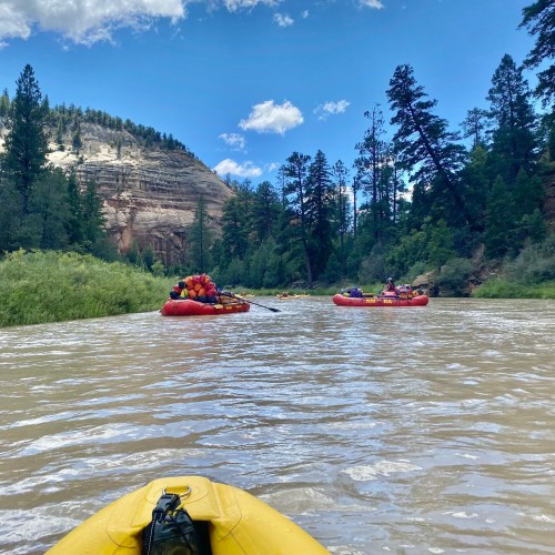 A group of people in colorful rafts navigating a river surrounded by lush greenery and rocky cliffs under a blue sky.