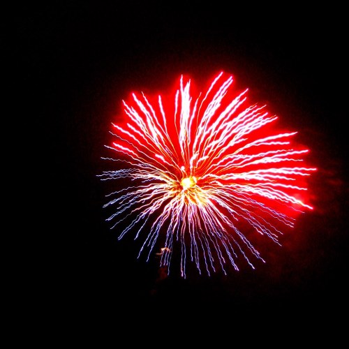 A vibrant firework explodes in the night sky, displaying bright red and blue streaks against a dark background.
