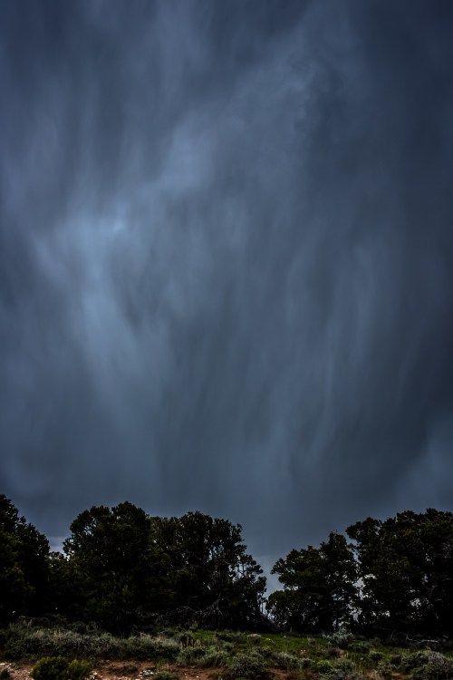 Dark, moody clouds loom over a silhouette of trees against a stormy sky.