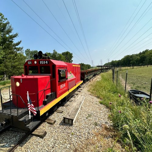 A red train engine numbered 1914 on a track surrounded by greenery and power lines under a clear blue sky.