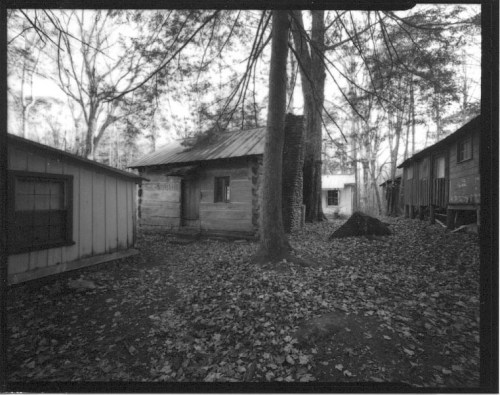 Black and white image of a wooded area with old cabins surrounded by fallen leaves and trees.