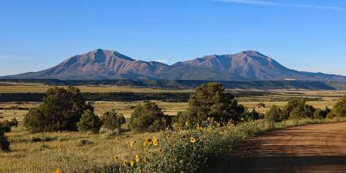 Scenic view of mountains with a clear blue sky, surrounded by green fields and sunflowers along a dirt road.