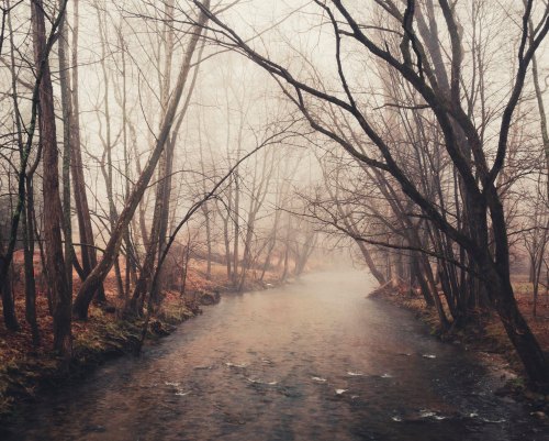 A misty river flows through a forest with bare trees, creating a serene and tranquil atmosphere.