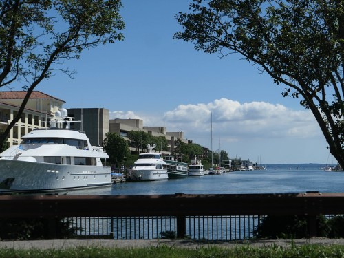 A scenic view of a marina with yachts docked along a waterfront, framed by trees and a clear blue sky.