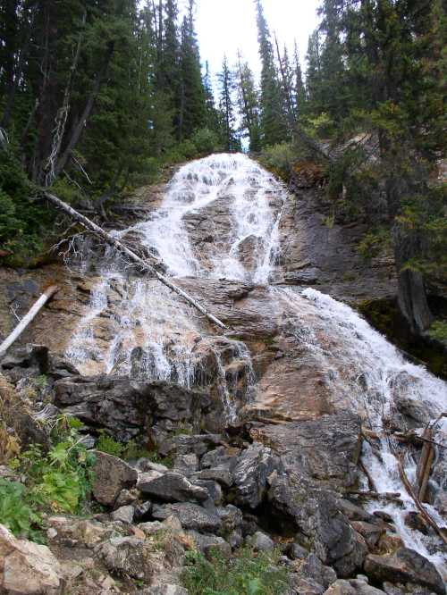 A cascading waterfall flows down rocky terrain, surrounded by lush green trees and natural vegetation.