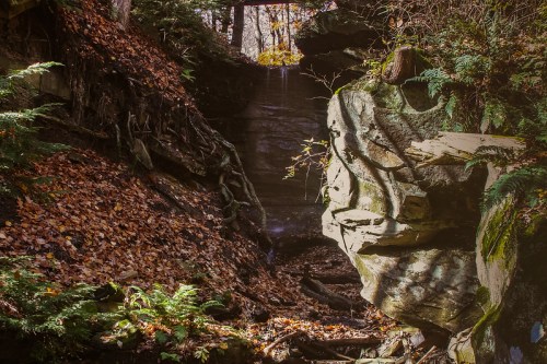 A rocky canyon with autumn leaves, ferns, and a small waterfall in the background, illuminated by soft sunlight.