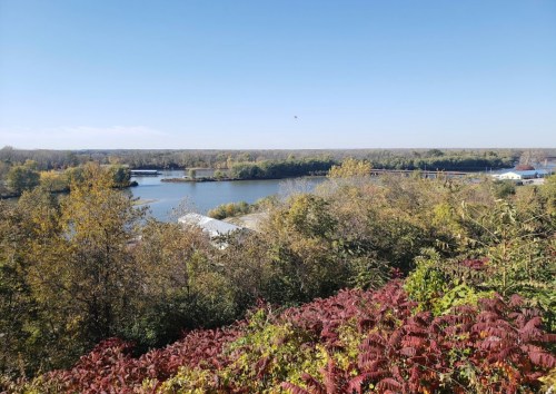 A scenic view of a river surrounded by trees and colorful foliage under a clear blue sky.