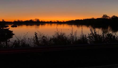 A serene sunset over a calm lake, with silhouettes of trees and plants along the shore.
