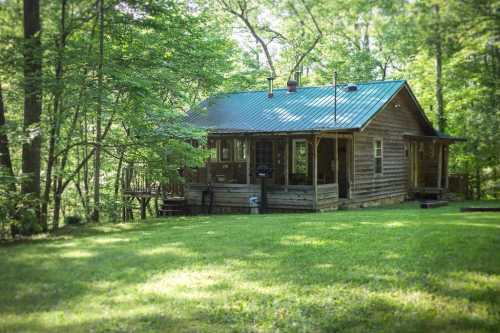 A rustic wooden cabin surrounded by lush green trees and grass, featuring a metal roof and a porch.