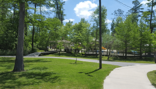 A sunny park scene with green trees, a pathway, and a pool area in the background.