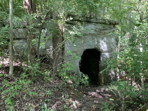 An overgrown stone structure with a dark entrance, surrounded by dense greenery in a forested area.