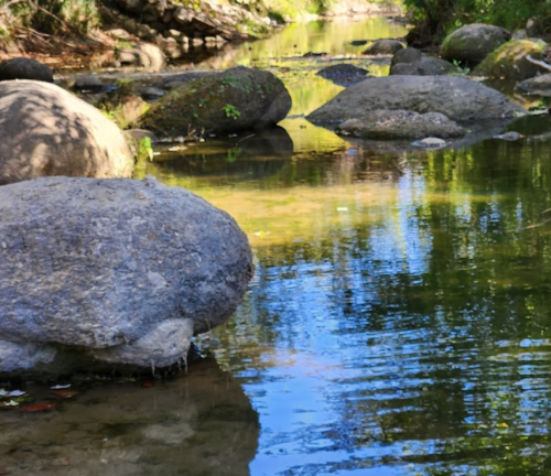 A serene stream with smooth rocks and clear water, surrounded by lush greenery and reflections of trees.