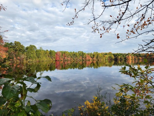 A serene lake surrounded by colorful autumn foliage and a cloudy sky, reflecting the vibrant trees in the water.