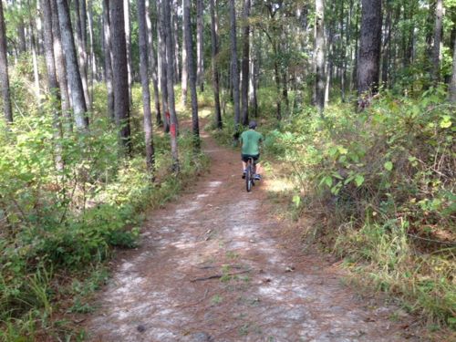 A person riding a bicycle on a narrow dirt path through a wooded area with tall trees and greenery.