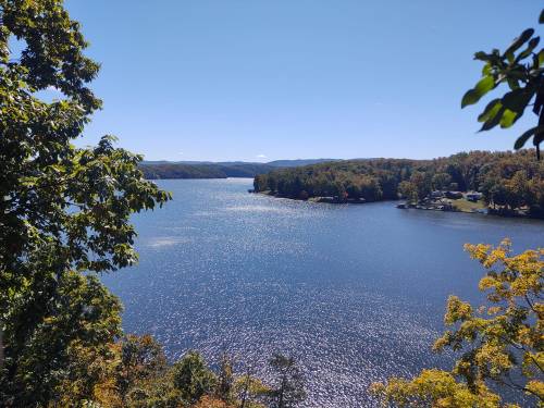 A serene lake surrounded by trees, reflecting sunlight under a clear blue sky.