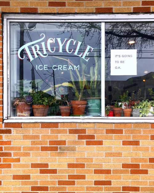 A window of Tricycle Ice Cream featuring potted plants and a sign that reads "It's going to be O.K." against a brick wall.