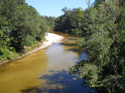 A serene river flows through a lush green landscape, with sandy banks and clear blue skies above.