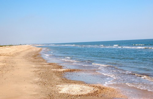 A serene beach scene with gentle waves lapping at the sandy shore under a clear blue sky.
