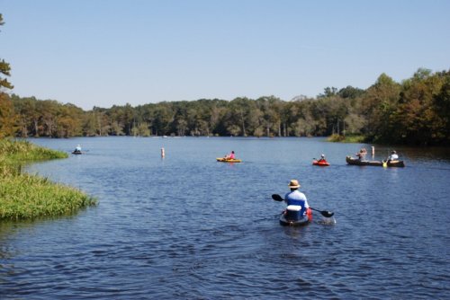 A serene lake scene with several kayakers paddling on calm waters surrounded by lush greenery and trees.