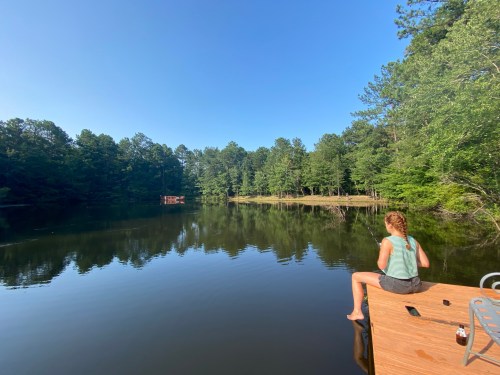 A person sits on a wooden dock by a calm lake, surrounded by lush green trees under a clear blue sky.