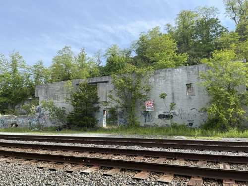 Abandoned concrete building covered in graffiti, surrounded by greenery, with train tracks in the foreground.