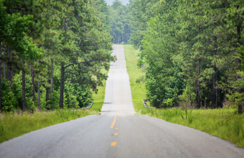 A winding road stretches through a lush green landscape, flanked by tall trees under a clear sky.