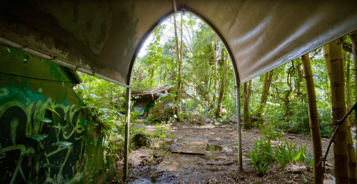 View from an archway into a lush, overgrown area with trees and remnants of a dilapidated structure.