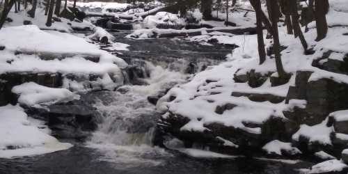 A snowy landscape featuring a flowing creek with small waterfalls surrounded by trees.