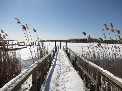A snowy wooden walkway leads to a frozen lake, surrounded by tall grasses under a clear blue sky.