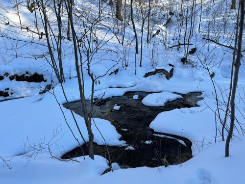 A serene winter scene featuring a small stream surrounded by snow-covered ground and bare trees.
