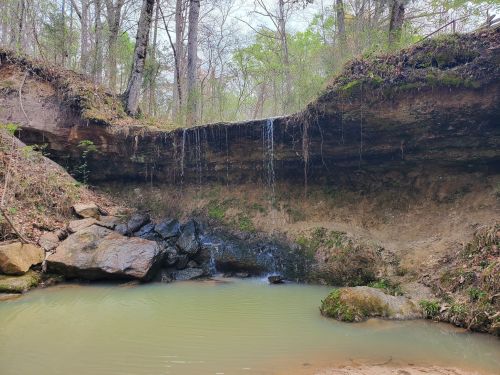 A serene natural scene featuring a small waterfall cascading over a rocky ledge into a calm pool surrounded by trees.