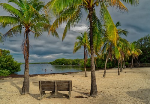 A wooden bench on a sandy beach surrounded by palm trees, with a cloudy sky and people swimming in the water.