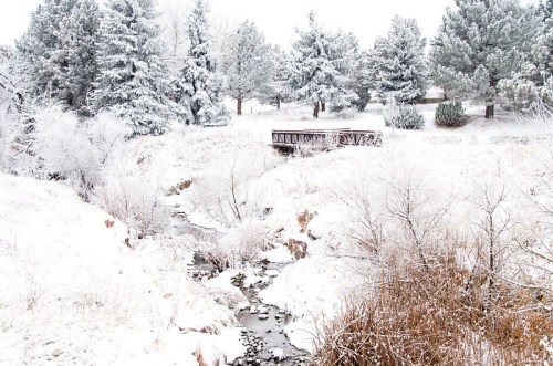 A snowy landscape featuring a creek, a wooden bridge, and frosted trees in a serene winter setting.