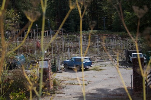 An abandoned site with a blue truck, overgrown vegetation, and a framework of metal structures in the background.