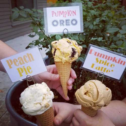 Three ice cream cones with signs: "Peach Pie," "Pumpkin Oreo," and "Pumpkin Spice Latte," held in front of a plant.