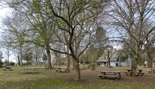 A park scene with several picnic tables under bare trees, a house in the background, and a grassy area.