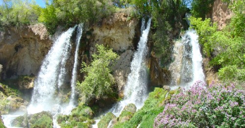 A scenic view of multiple waterfalls cascading down rocky cliffs, surrounded by lush greenery and blooming flowers.