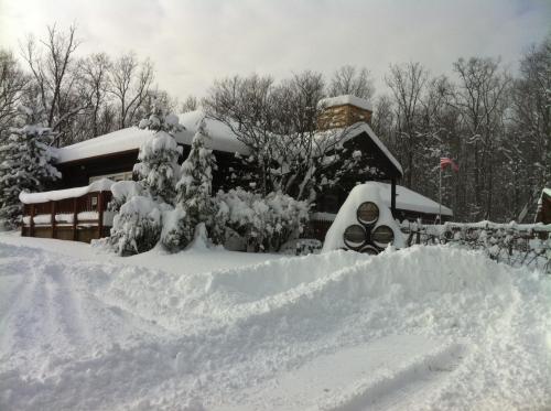 A snow-covered cabin surrounded by trees, with a large snowdrift in the foreground and an American flag visible.