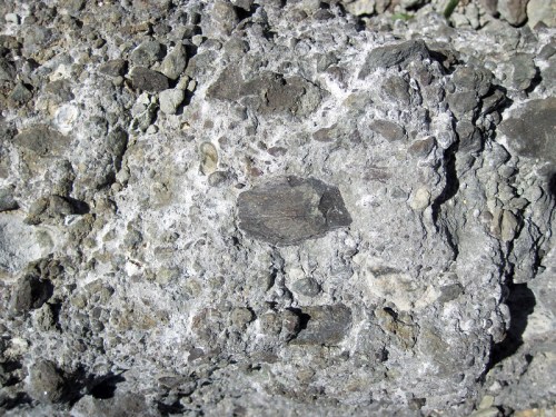 Close-up of a rocky surface with various textures and small stones embedded in a grayish matrix.