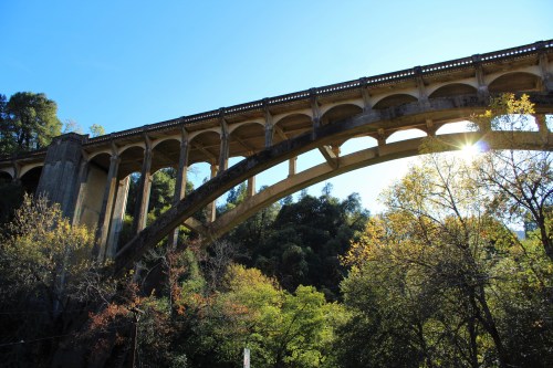 A large, arched concrete bridge spans over trees, with sunlight shining through its structure against a clear blue sky.