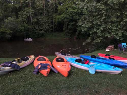 A row of colorful kayaks on grass by a calm river, surrounded by trees and a few chairs in the background.