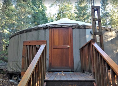 A wooden deck leads to the door of a round yurt nestled among tall trees in a forested area.