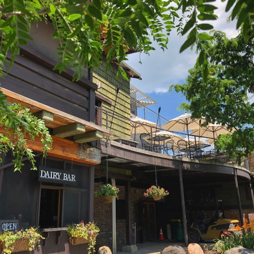 A rustic dairy bar with outdoor seating, surrounded by greenery and bright blue skies.