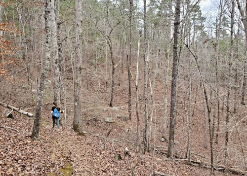 A person walks along a trail in a wooded area with bare trees and fallen leaves.